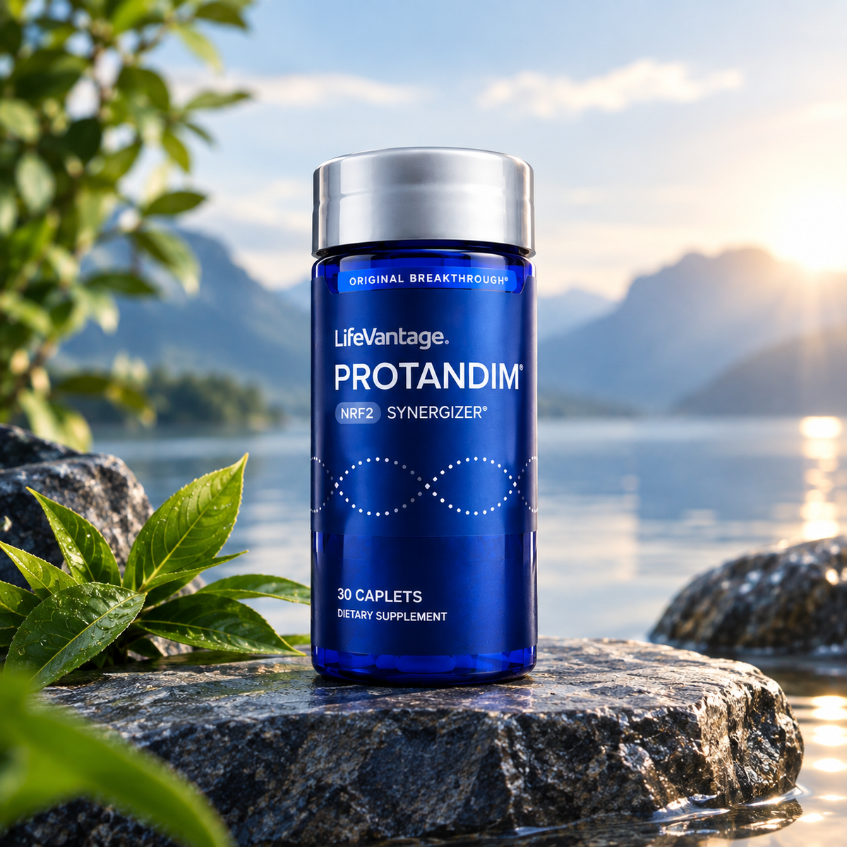 LifeVantage Protandim NRF2 Synergizer 30 Capsules – Pack of 2 | Neyvos